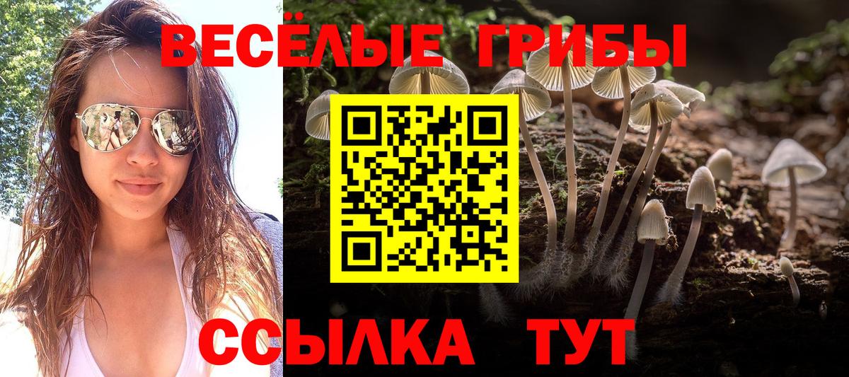 Галлюциногенные грибы GOLDEN TEACHER Щёлково
